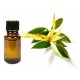 Ylang ylang oil