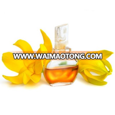 Bulk Sale on Best Quality Skin Care Ylang Ylang Oil at Low Price