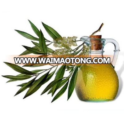 Excellent Quality & Reasonable Price Pure Natural Tea Tree Oil