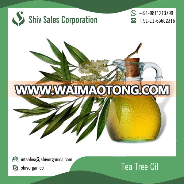 2018 Widely Used Pure Tea Tree Oil Essential Oil at Factory Price